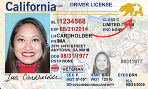 real id ca