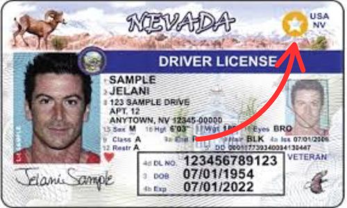 real id nevada