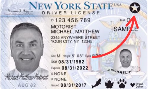real new york id card
